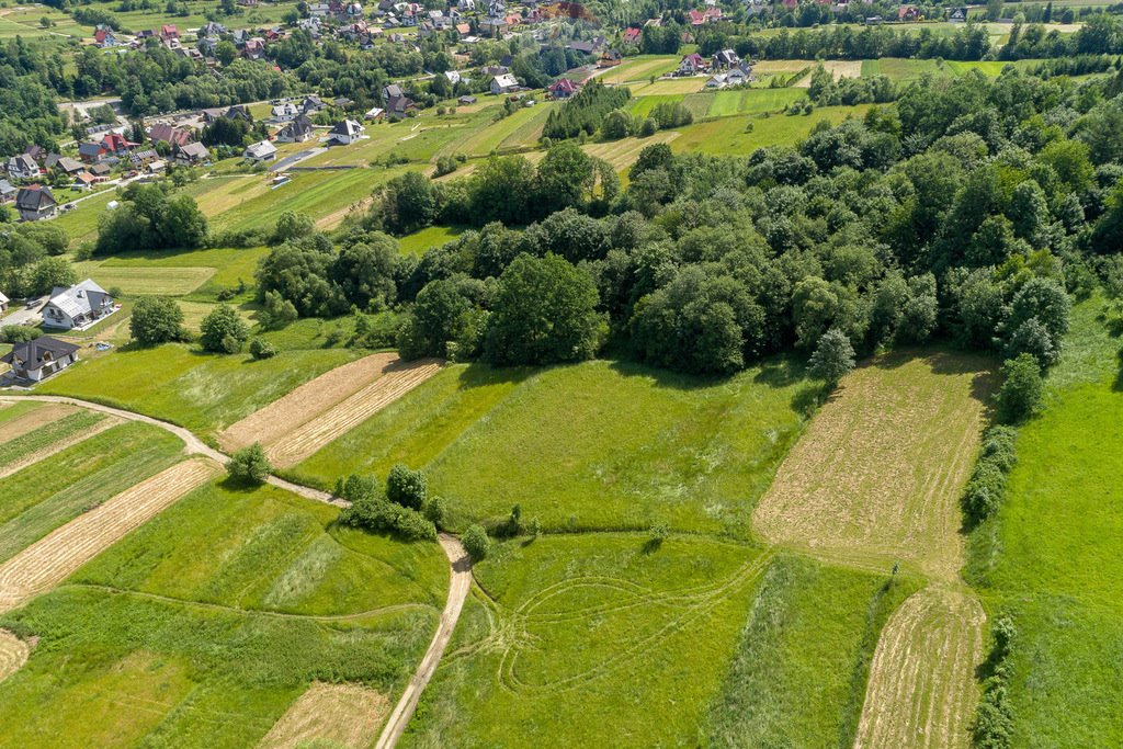 Działka rolna na sprzedaż Tenczyn  3 280m2 Foto 20