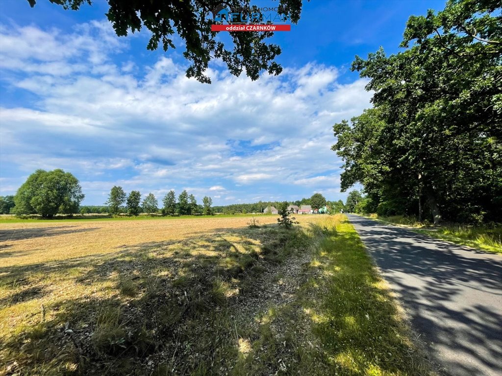 Działka budowlana na sprzedaż Biernatowo  2 240m2 Foto 7