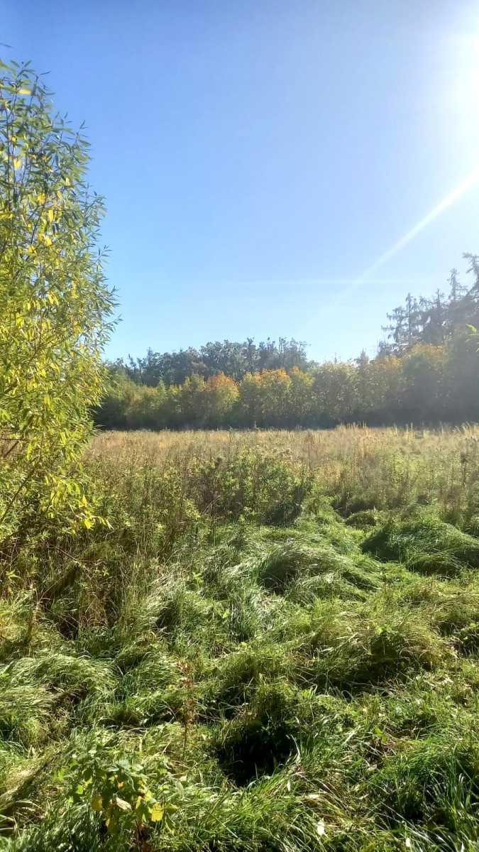 Działka inna na sprzedaż Szczawno-Zdrój  1 600m2 Foto 2