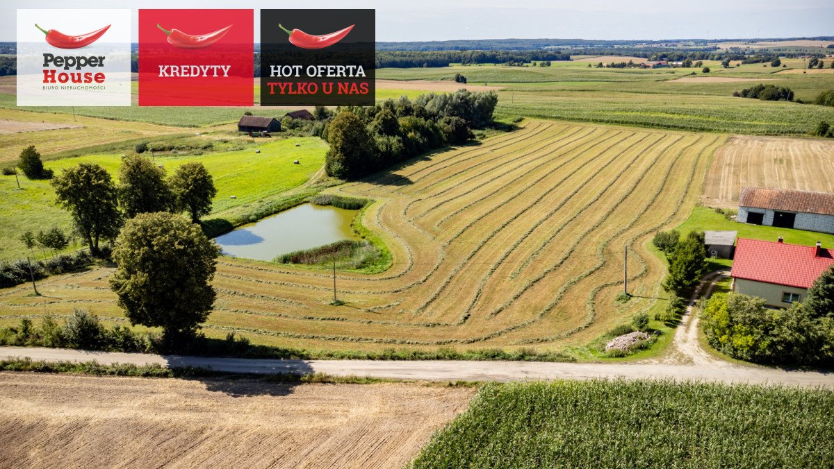 Działka budowlana na sprzedaż Kępa Kalnicka  9 010m2 Foto 1