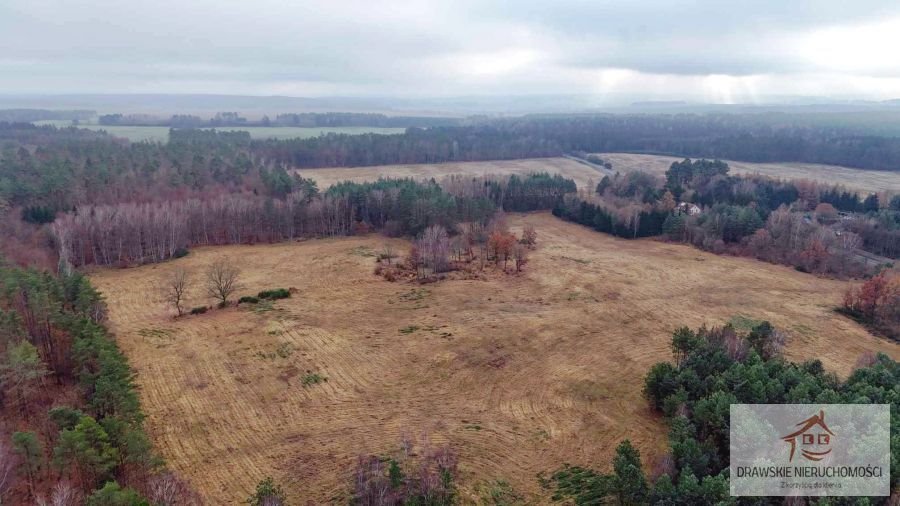 Działka inna na sprzedaż Pepłówek, Pepłówek  245 314m2 Foto 4