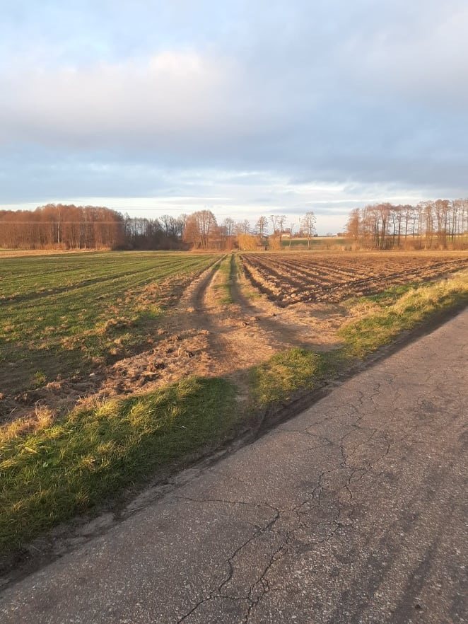 Działka inna na sprzedaż Dziadkowice  3 100m2 Foto 4