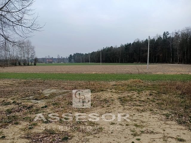 Działka rolna na sprzedaż Szczytniki  28 500m2 Foto 1