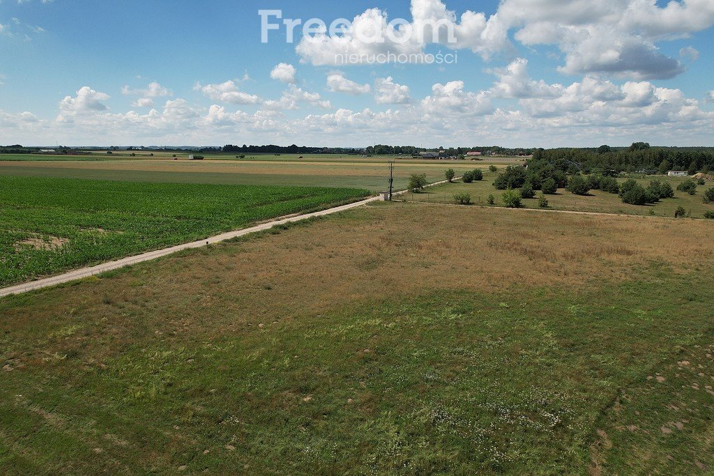 Działka budowlana na sprzedaż Bogusze  3 005m2 Foto 8