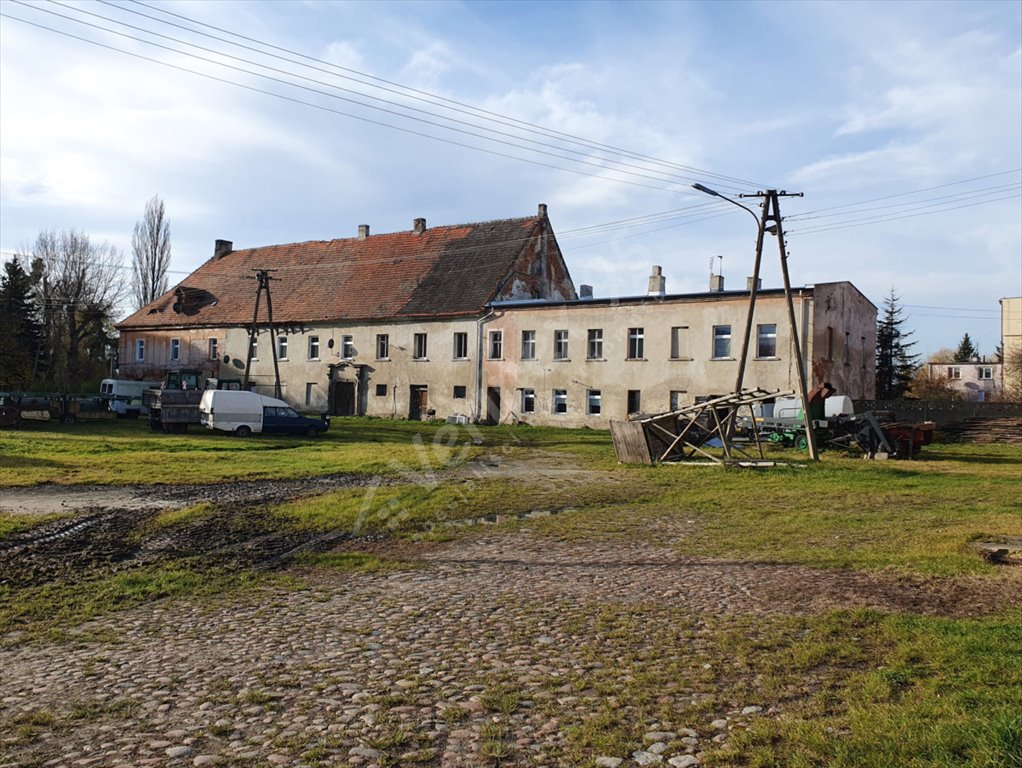 Lokal użytkowy na sprzedaż Szczepanów  3 000m2 Foto 9