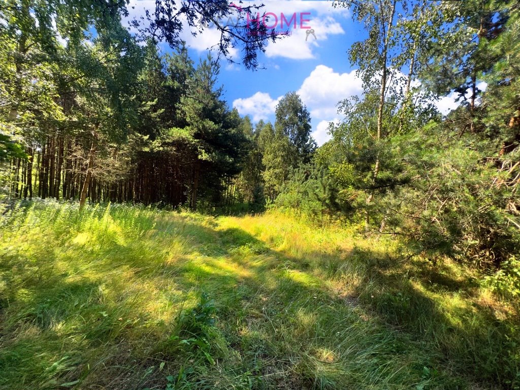 Działka leśna na sprzedaż Krzątka  3 600m2 Foto 3