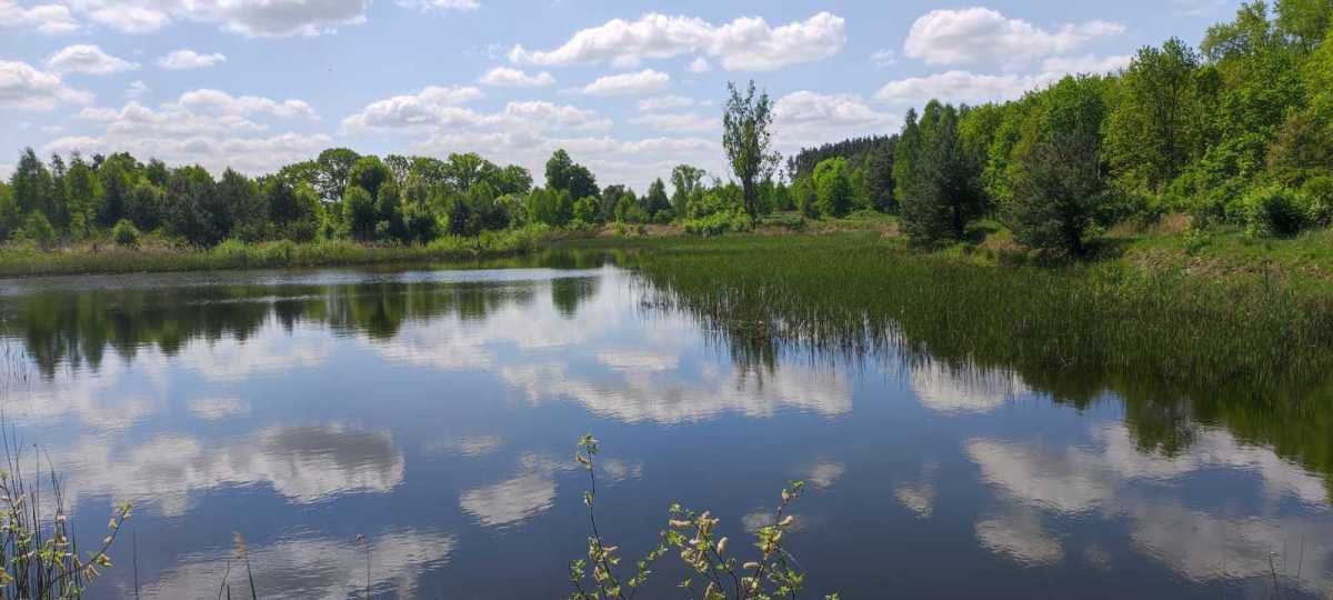 Działka inna na sprzedaż Szprotawa, Sieraków  68 701m2 Foto 13