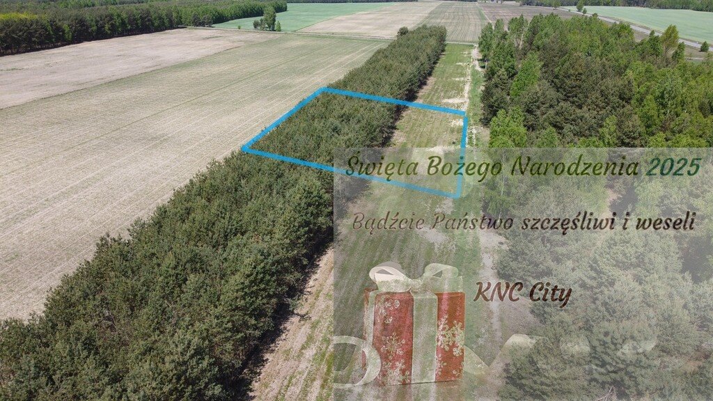 Działka budowlana na sprzedaż Wólka Gonciarska  1 428m2 Foto 1