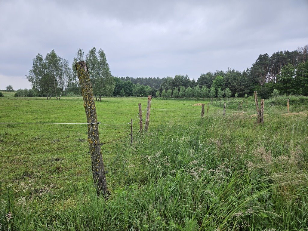 Działka budowlana na sprzedaż Myślibórz  1 488m2 Foto 9