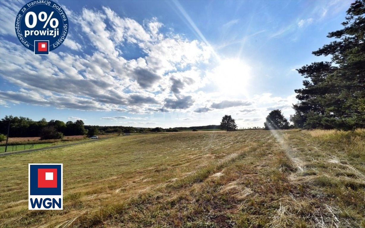 Działka budowlana na sprzedaż Zebrzydowa, centrum  1 500m2 Foto 12