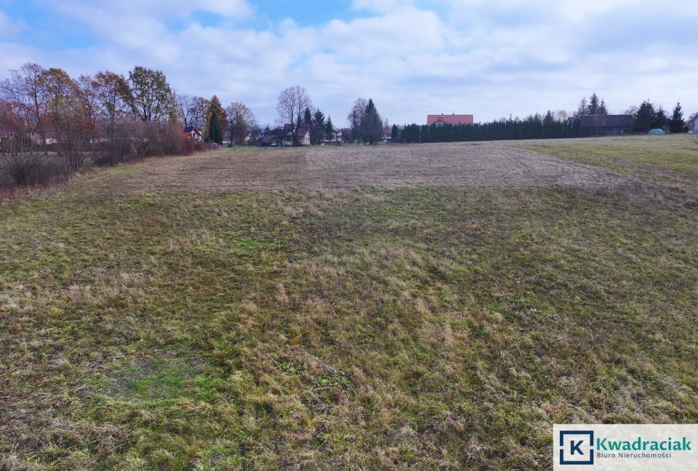 Działka budowlana na sprzedaż Czerteż  1 490m2 Foto 9