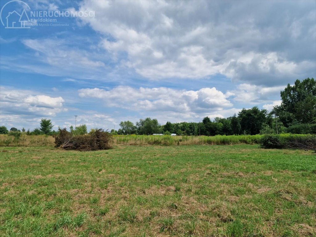 Działka budowlana na sprzedaż Krzeczów  1 100m2 Foto 8