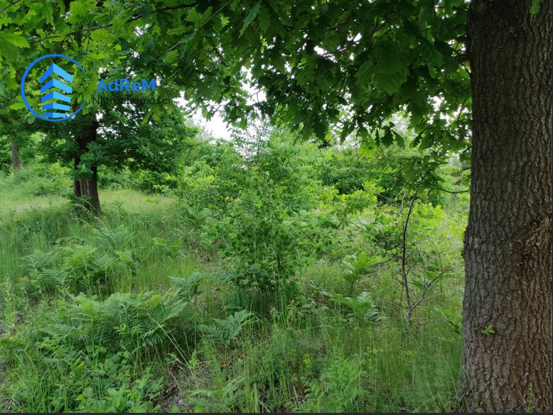 Działka budowlana na sprzedaż Słomczyn  3 200m2 Foto 1