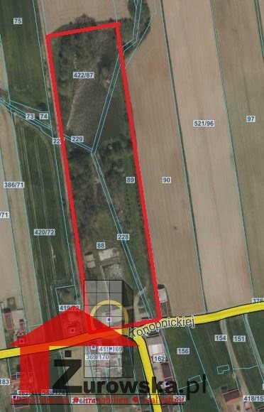 Działka 2,5 ha z stawami, budynkami i wiata — inwestycja Toszek  25 000m2 Foto 1