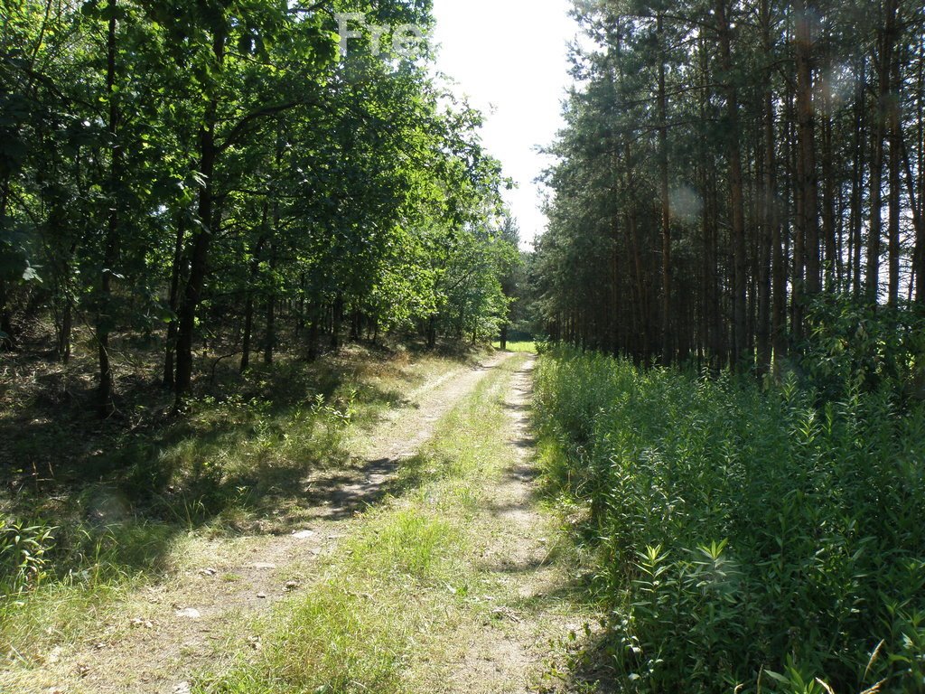 Działka budowlana na sprzedaż Czarne Błoto  1 769m2 Foto 3