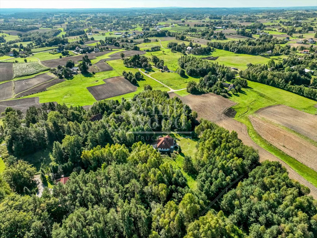 Działka rolna na sprzedaż Przodkowo  11 896m2 Foto 6