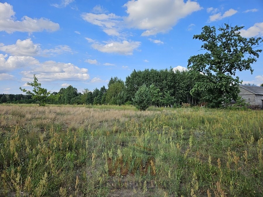 Działka budowlana na sprzedaż Sierzchów  1 006m2 Foto 3