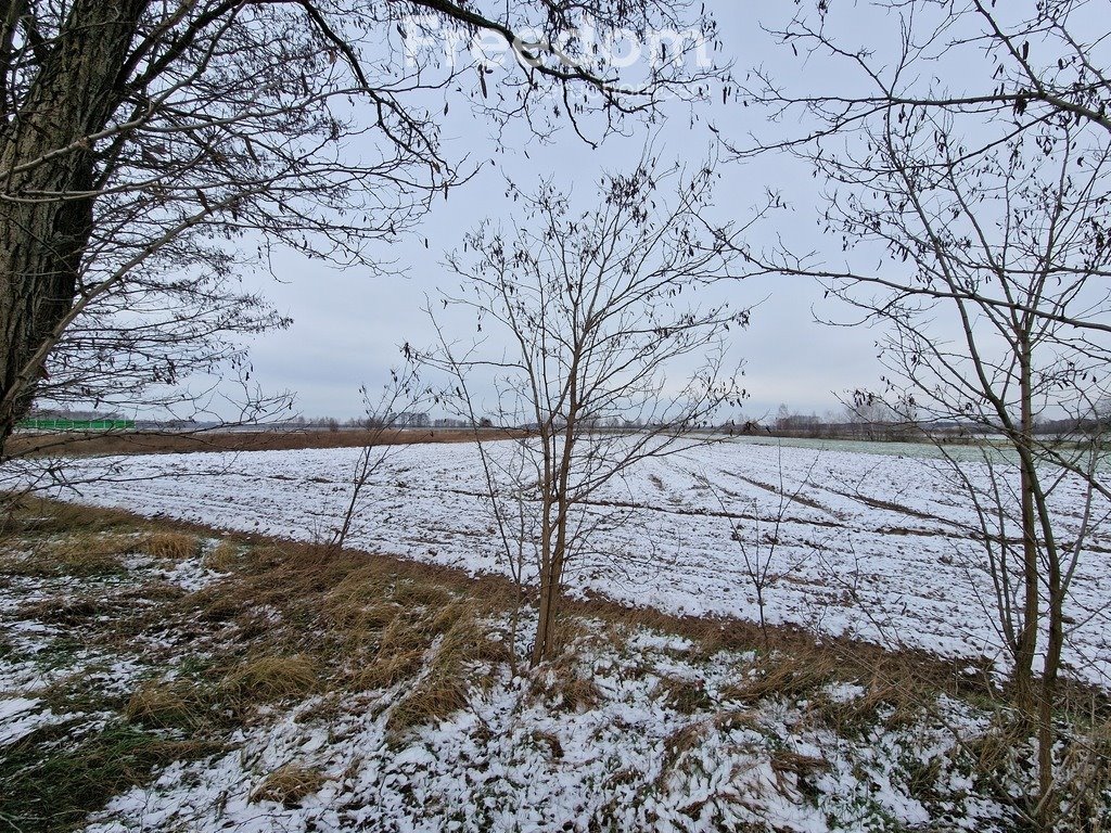 Działka inna na sprzedaż Sitnik  5 200m2 Foto 2