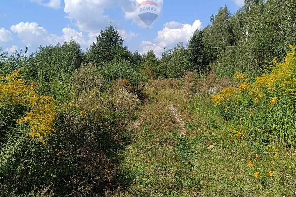 Działka rolna na sprzedaż Skaryszew, Zielona  9 678m2 Foto 2