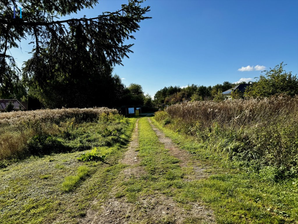 Działka rolna na sprzedaż Janów  2 997m2 Foto 9