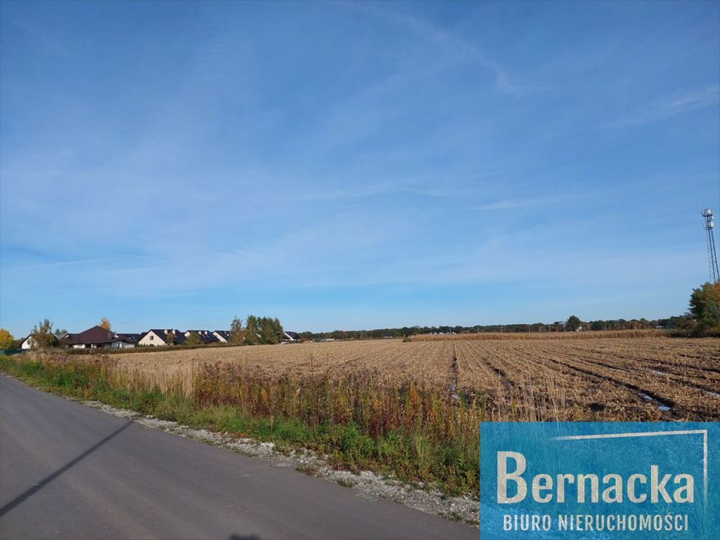 Działka budowlana na sprzedaż Wilkszyn, Szkolna  10 053m2 Foto 3