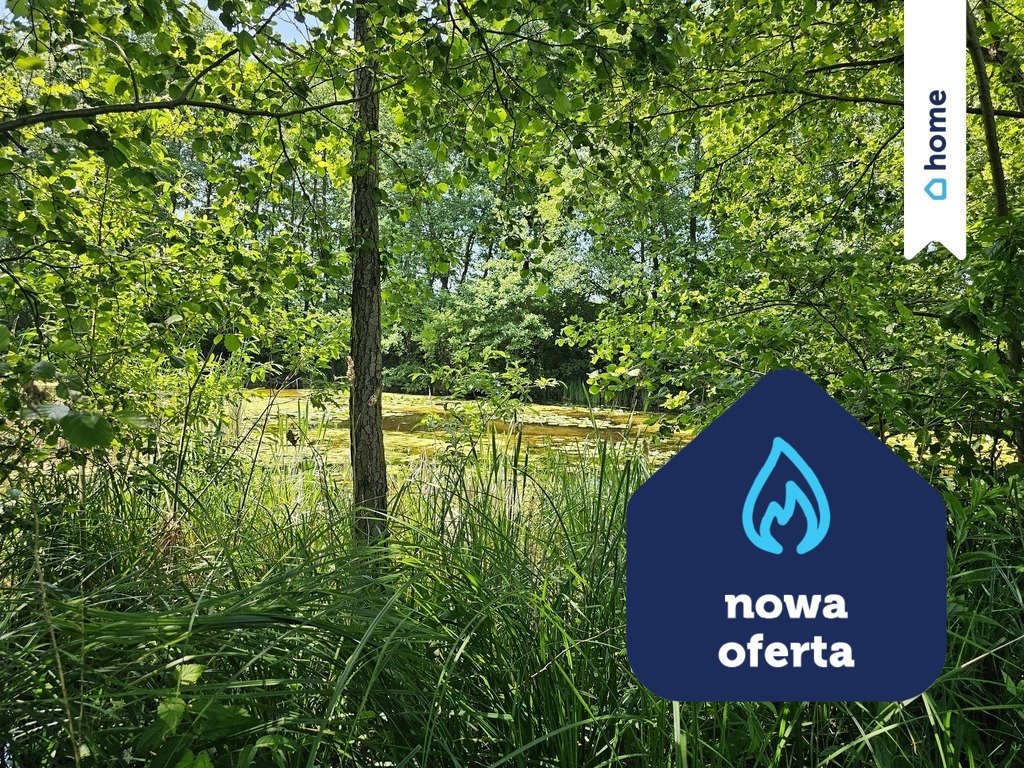 Działka siedliskowa na sprzedaż Miałkie  18 400m2 Foto 1