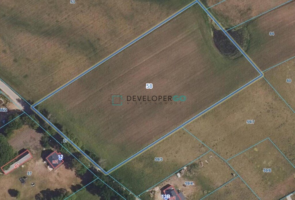 Działka 13 070 m² z zabudową i terenami rolnymi Zielone Królewskie  13 070m2 Foto 1