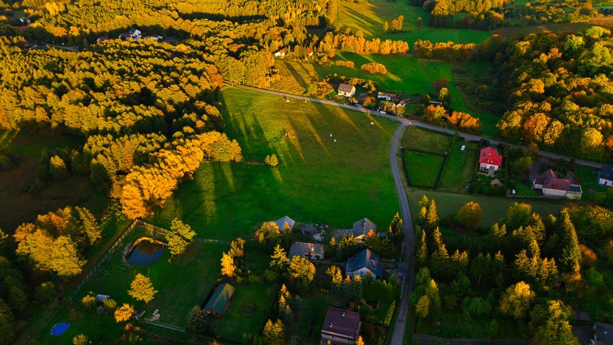 Działka budowlana na sprzedaż Kampinos, Partyzantów  1 687m2 Foto 6