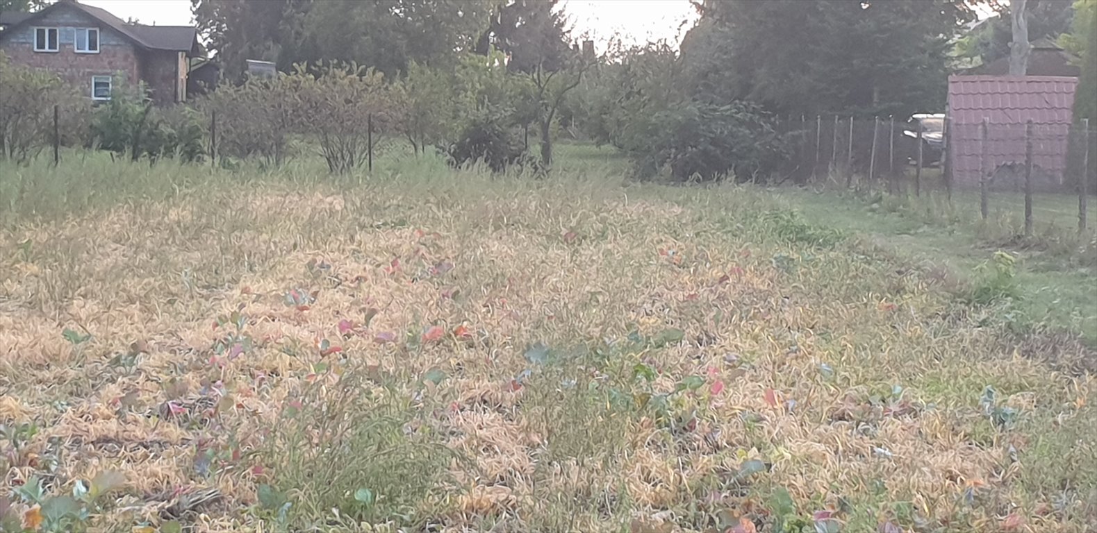 Dom na sprzedaż Skierniewice, Starbacicha-Gajówka  120m2 Foto 4