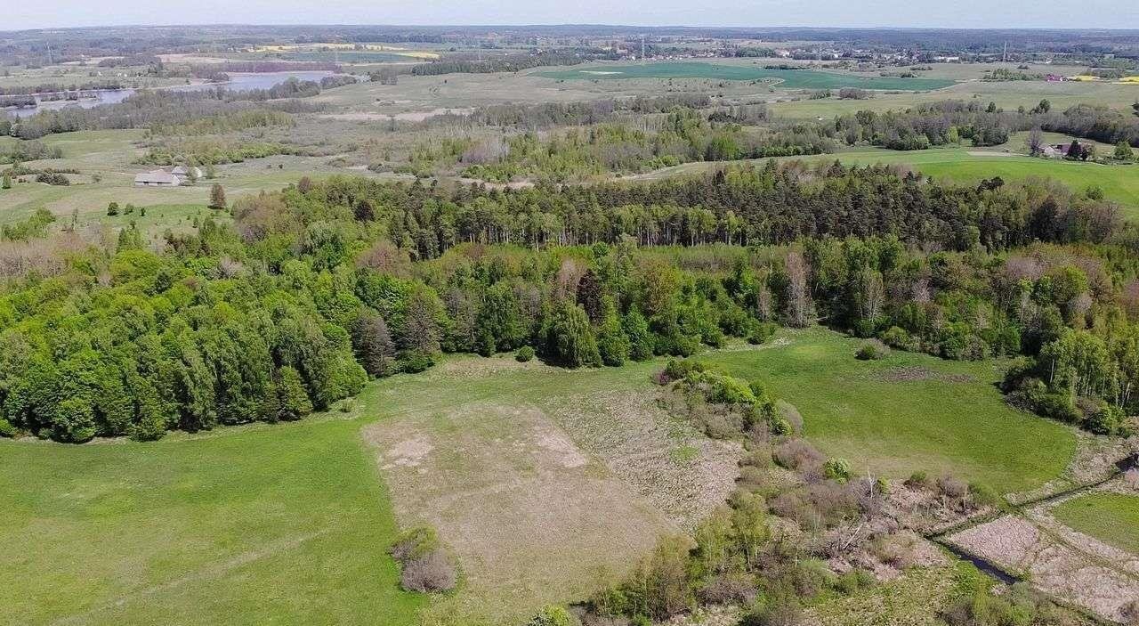 Działka budowlana na sprzedaż Dźwierzuty  5 600m2 Foto 13