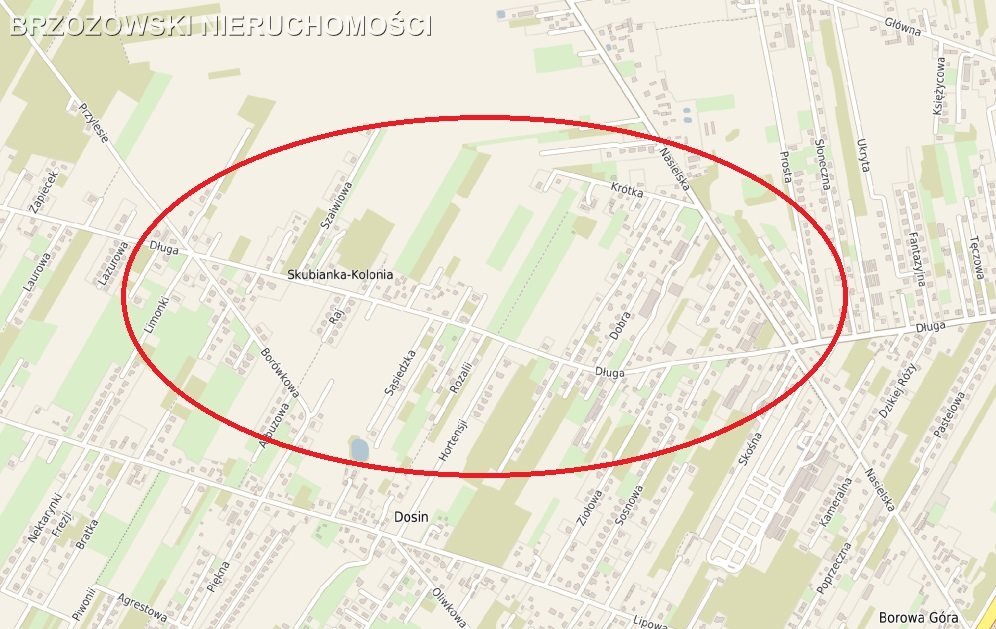 Działka budowlana na sprzedaż Borowa Góra  23 000m2 Foto 1