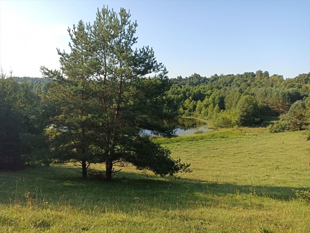 Działka gospodarstwo rolne na sprzedaż Udziejek  50 600m2 Foto 6