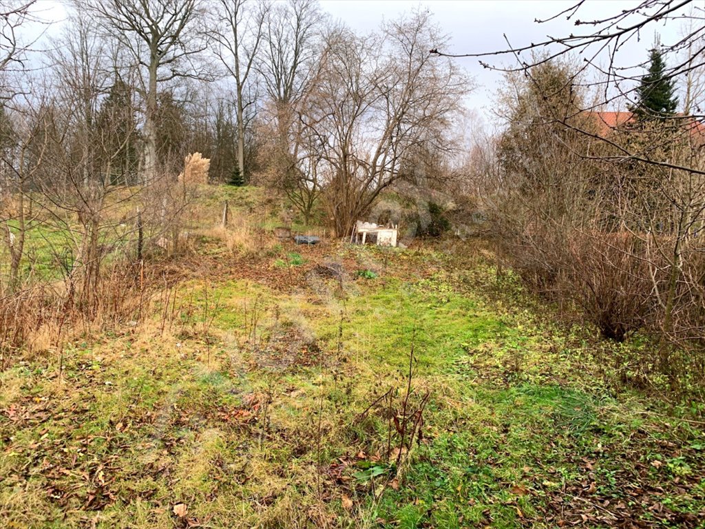 Mieszkanie dwupokojowe na sprzedaż Janowice Wielkie  79m2 Foto 5