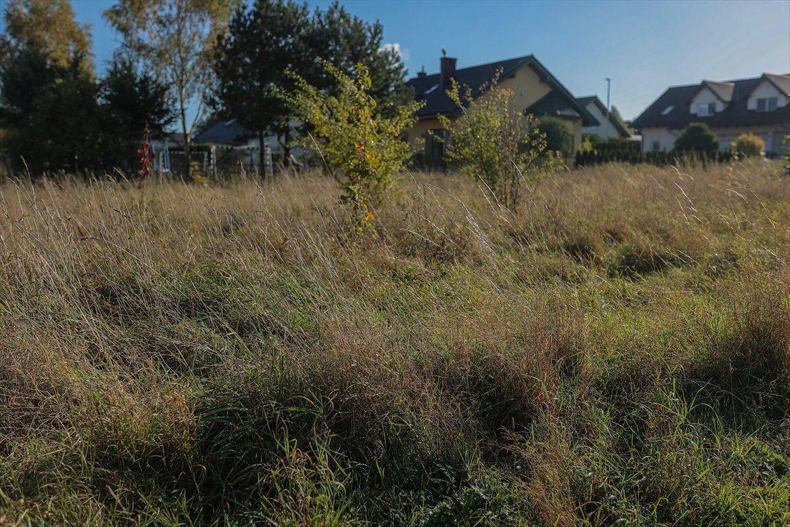 Działka budowlana na sprzedaż Gowino  987m2 Foto 11