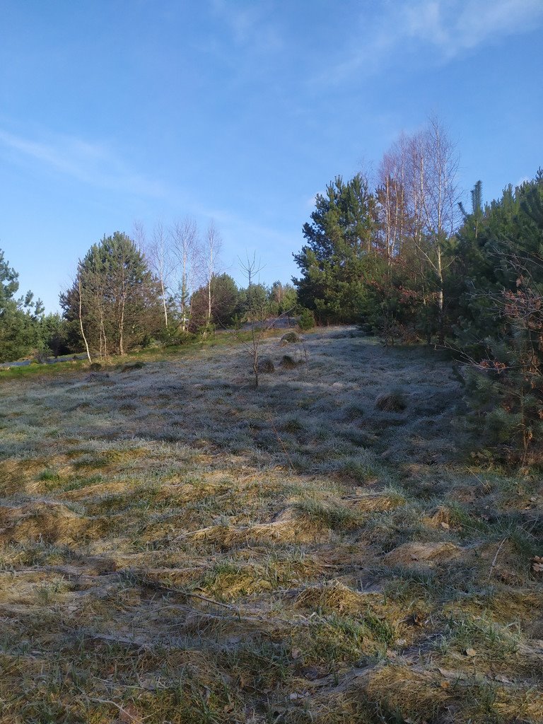 Działka siedliskowa na sprzedaż Koleczkowo  1 300m2 Foto 3