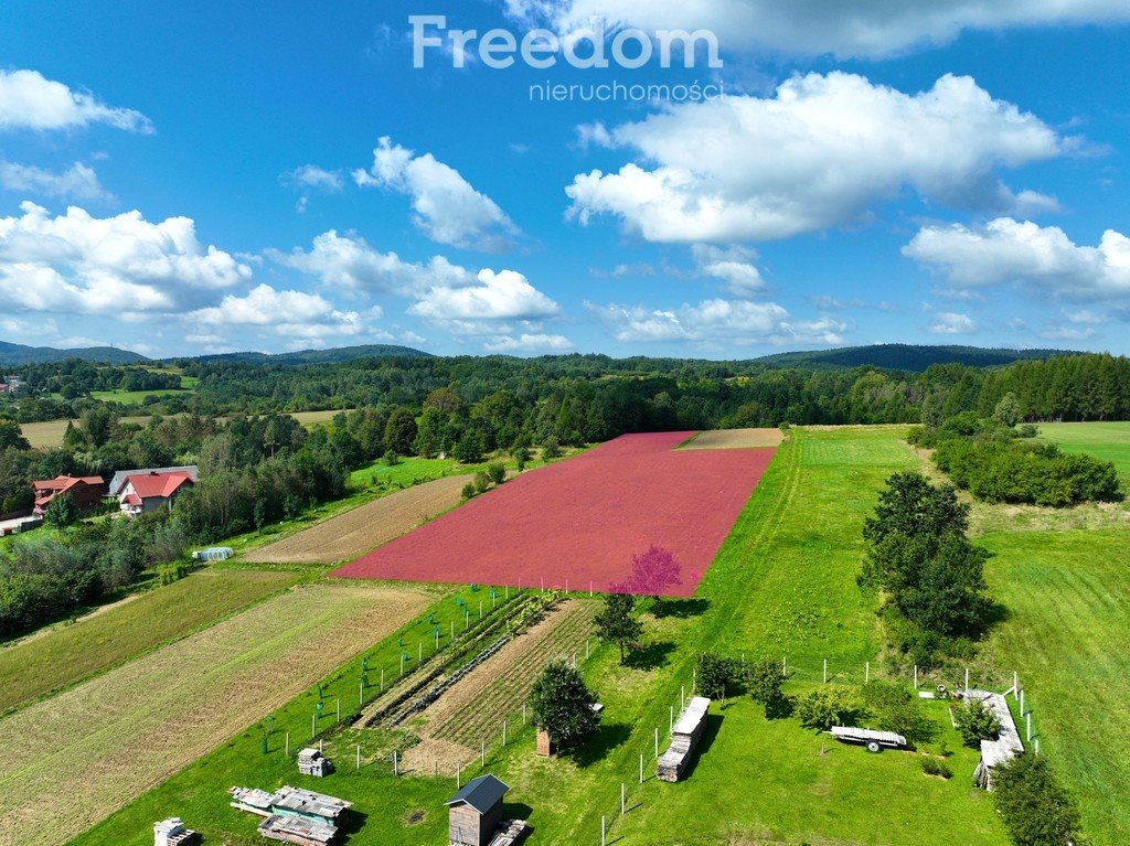 Działka budowlana na sprzedaż Jasienica Rosielna  9 938m2 Foto 2