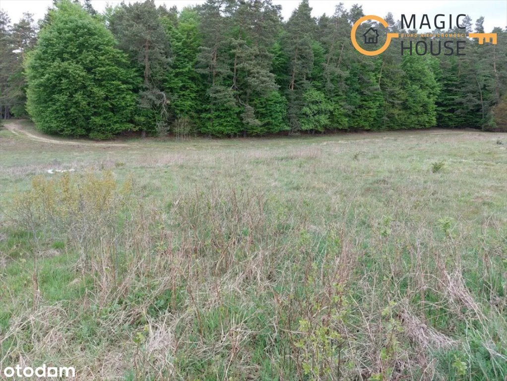 Działka budowlana na sprzedaż Sulmin  1 016m2 Foto 5