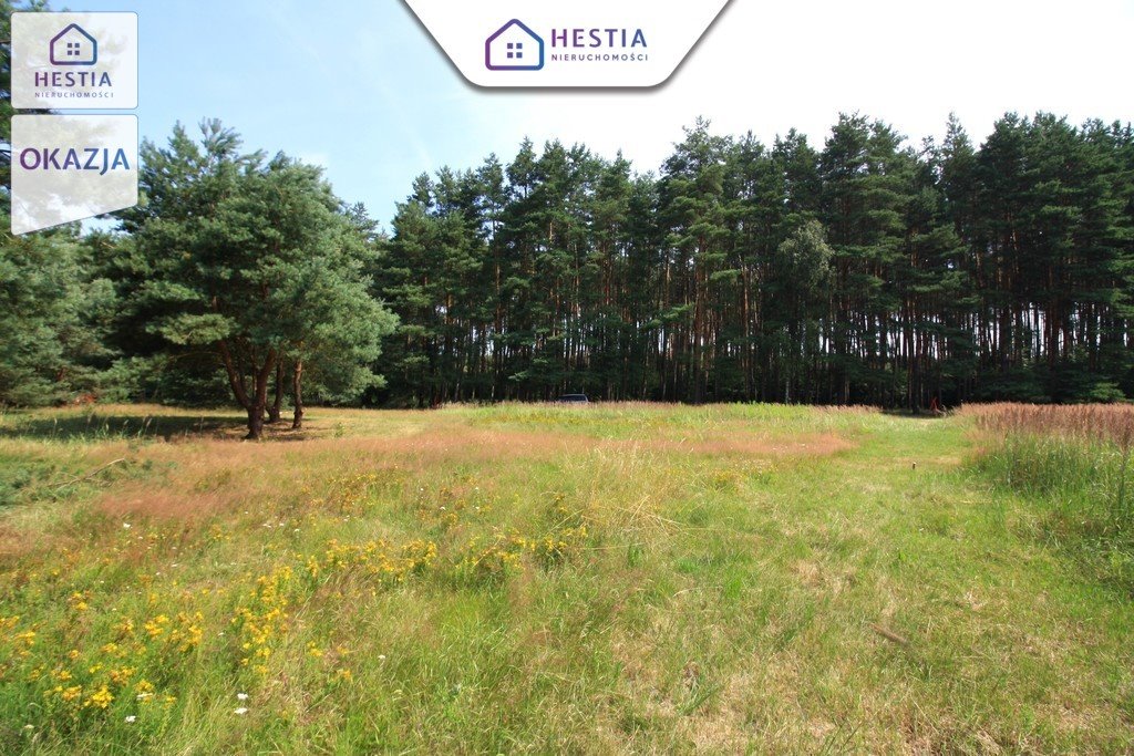 Działka rolna 1960 m² w Wielgowie – las sosnowy, rozbudowa Szczecin, Wielgowo, Żywiczna  1 960m2 Foto 1