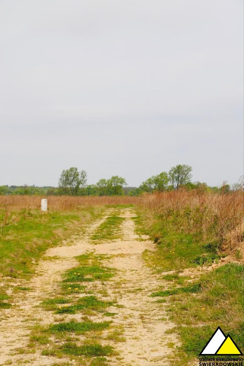 Działka budowlana na sprzedaż Świeradów-Zdrój, Jarzębinowa  1 534m2 Foto 6