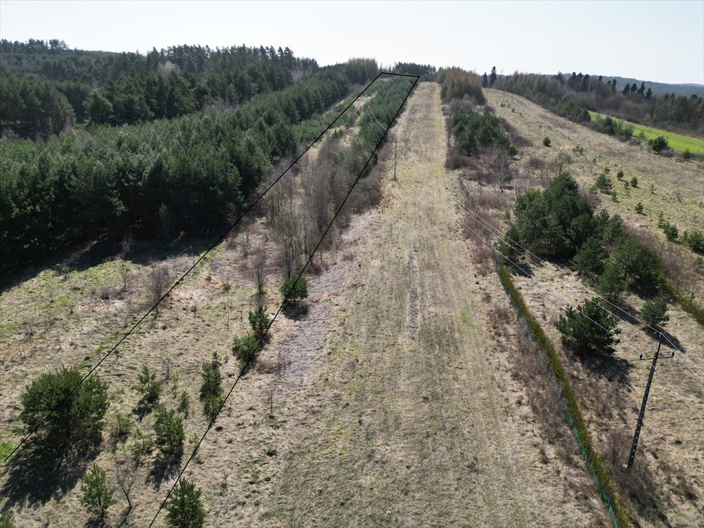 Działka budowlana na sprzedaż Krasnobród  7 862m2 Foto 10