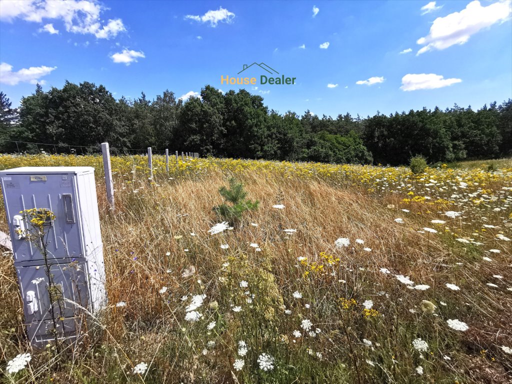 Działka budowlana na sprzedaż Wielonek  600m2 Foto 4