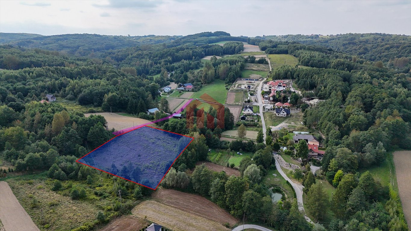 Działka budowlana na sprzedaż Niedźwiada  5 500m2 Foto 2