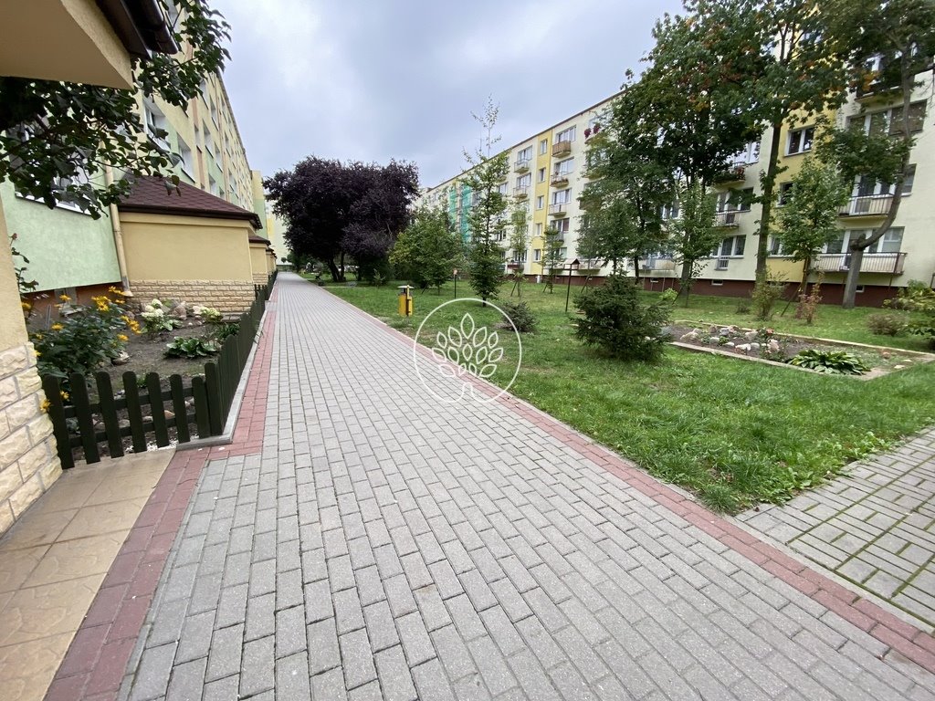 Mieszkanie dwupokojowe na wynajem Bydgoszcz, Wyżyny, Xsawerego Dunikowskiego  42m2 Foto 10