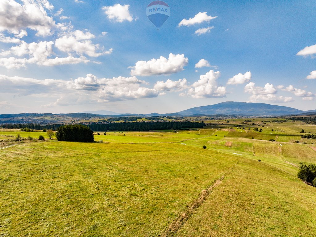 Działka rolna na sprzedaż Jabłonka  6 400m2 Foto 6