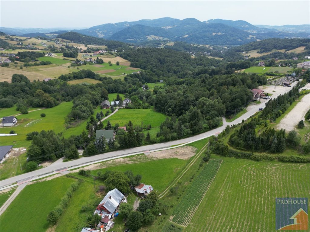 Działka budowlana na sprzedaż Pasierbiec  3 000m2 Foto 5