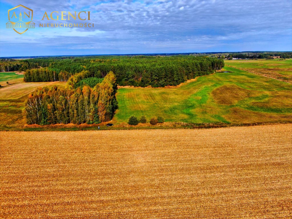 Działka rolna na sprzedaż Kotły  11 459m2 Foto 2