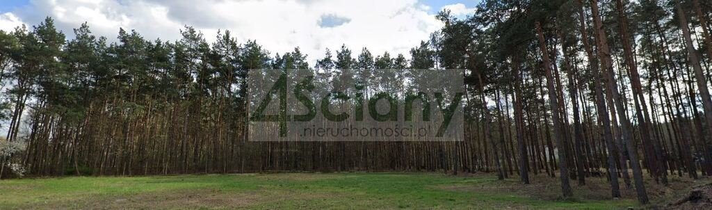 Działka 6050 m² z zabudową w Halinowie - polecam! Długa Szlachecka  6 050m2 Foto 1