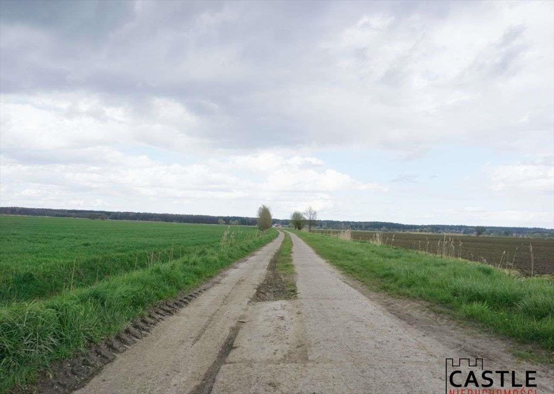 Działka inwestycyjna na sprzedaż Jantar  5 036m2 Foto 4