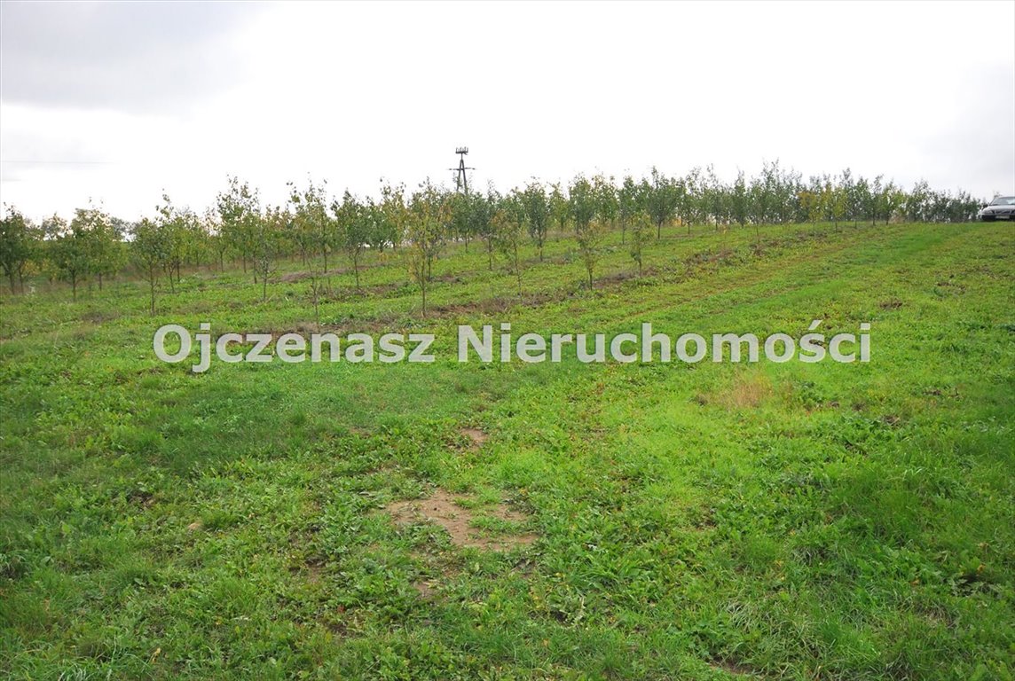 Polecam działki budowlane 1509 m² w Tryszczynie, blisko Bydgoszczy Tryszczyn  1 509m2 Foto 1
