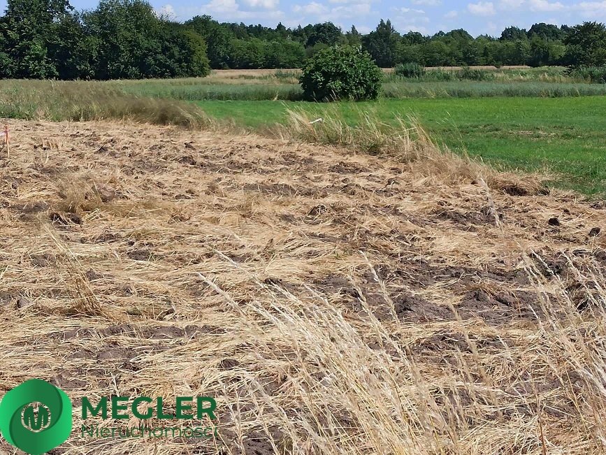 Działka budowlana na sprzedaż Chrzanów Mały  1 610m2 Foto 1